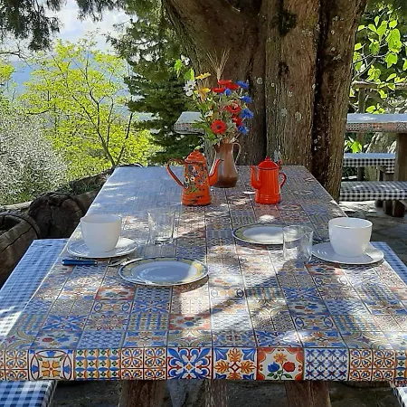 Locazione Turistica Mimosa - Torretta - Borgo La Civitella By Interhome * Roccastrada