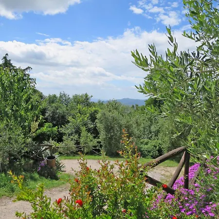 Apartment Locazione Turistica Mimosa - Torretta - Borgo La Civitella By Interhome Roccastrada